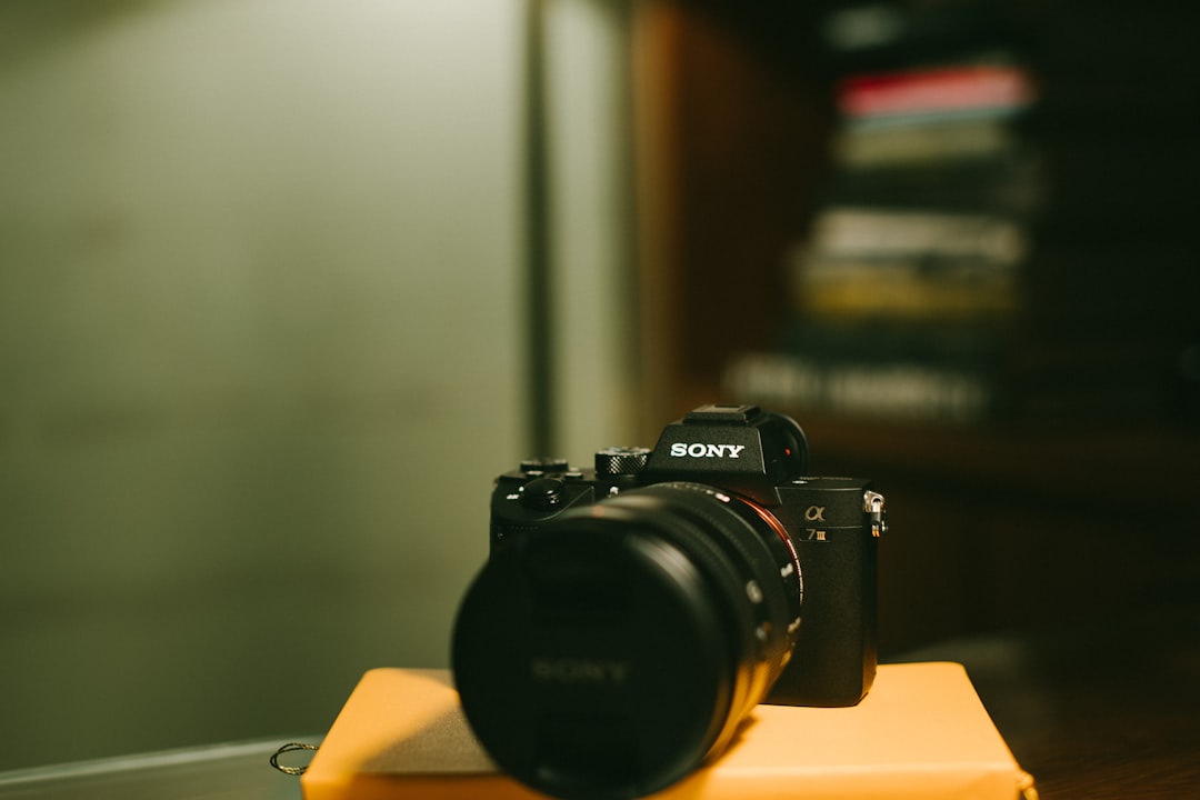 The Art of DIY Photography: Creative Solutions on a Budget The Art of DIY Photography: Creative Solutions on a Budget